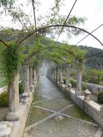 Oha, da regnet es. Aber nur in diesem Gang auf Alfabia