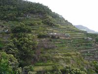 Levada von Maracos