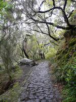 Wanderung im Tal von Rabacal