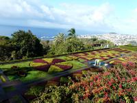 Stadtbesichtigung Funchal