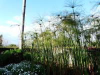 Stadtbesichtigung Funchal