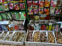 Stadtbesichtigung Funchal