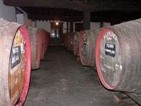 Stadtbesichtigung Funchal