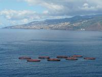 Wanderung zum Ostkap