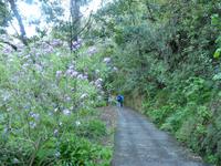 Wanderung nach Portela