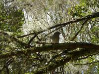 Wanderung nach Portela