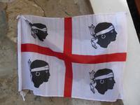 Sardische Flagge