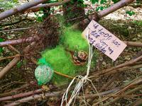 Floriade 2012 in Venlo