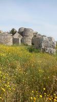 Selinunte