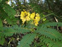 Im Botanischen Garten von Funchal