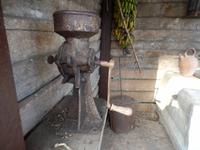 auf der Kaffeeplantage