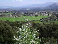 im Herzen der Gallura - Granitgestein