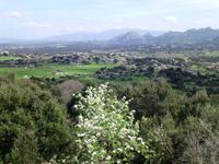 in der Gallura
