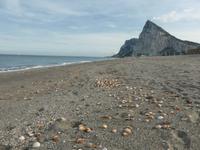 057-La_Linea