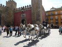 105-Sevilla-Alcazar
