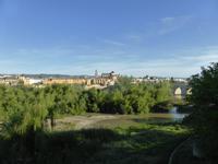 123-Cordoba