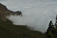 Nebelmeer