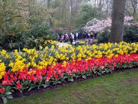 13_Keukenhof