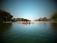 Tag 4 - 5 - Spaziergang durch die Gärten von Versailles (9)