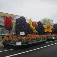 Blumencorso, Thema :200 Jaar Koninkrijk