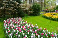 119 Holland, Impressionen im Keukenhof