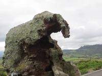 steinerner Elefant bei Castelsardo
