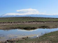 Ararat am Morgen