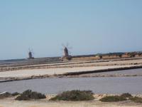 Salinen von Trapani
