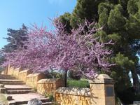 Tempeltal von Agrigent