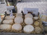 Käsemarkt in Alkmaar