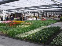 Willem-Alexander Pavillon