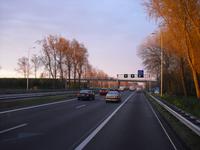 Fahrt zur Blumenversteigerung in Aalsmeer