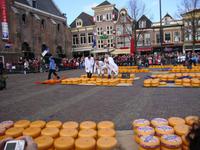 Käsemarkt Alkmaar
