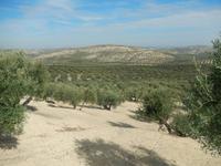 Jaen - Alcaudete - 10 Tage Radreise Andalusien entlang der Via Verde - Natur und Kultur in Spanien