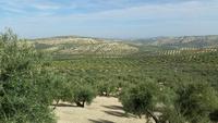 Jaen - Alcaudete - 10 Tage Radreise Andalusien entlang der Via Verde - Natur und Kultur in Spanien