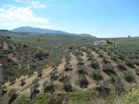 Jaen - Alcaudete - 10 Tage Radreise Andalusien entlang der Via Verde - Natur und Kultur in Spanien