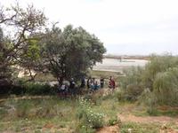 Ankunft beim Picknick