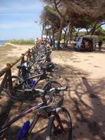 Alles in Reih´ und Glied!