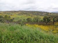 Blühende Wiesen soweit das Auge reicht