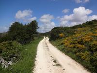 Der Weg ist das Ziel