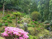 Naturpark in Nordeste