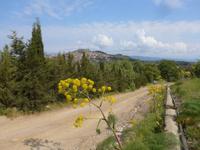 Lesbos, Molivos im Hintergrund