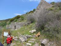 Lesbos, Wanderung ins Mühlental