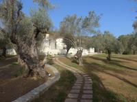 Lesbos, Hotel Olive Grove, Weg zum Restaurant