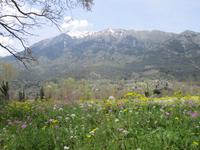 Landschaft bei Dodona