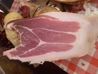 auf dem Bauernhof in Empoli 