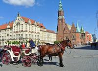 Pferdekutsche auf dem Rynek