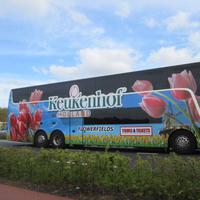 Im Keukenhof