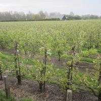 Fahrt mit der Museumsbahn von Hoorn nach Medemblik