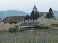 Dürnstein-Stiftskirche